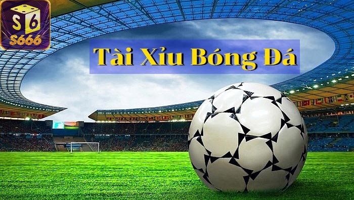 S666: Nhà Cái Uy Tín Cho Game Kèo Tài Xỉu Online