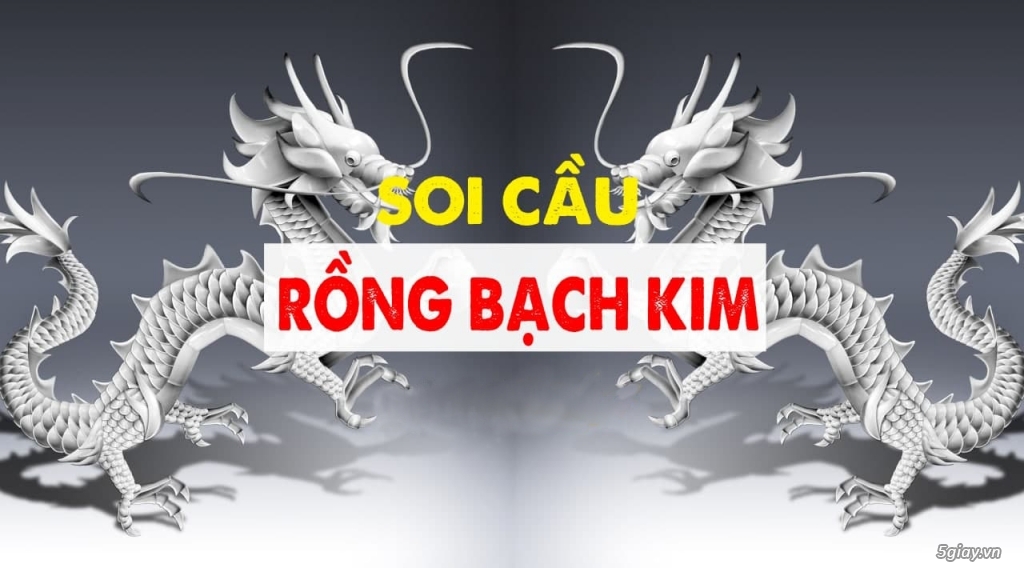 Phân Tích Khoa Học Dữ Liệu Soi Cầu Rồng Bạch Kim Plus