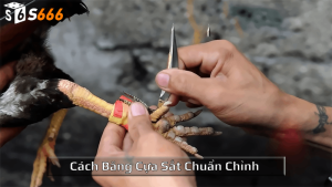 Cách băng cựa sắt chuẩn chỉnh