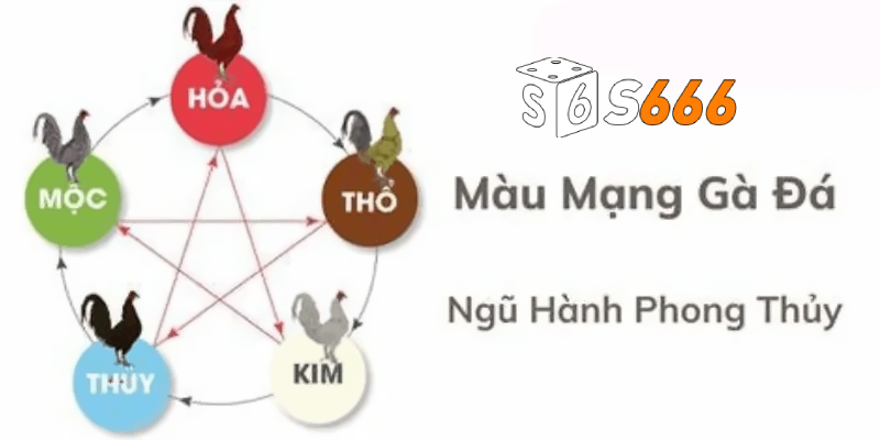 Xem xét ngày tháng - phong thuỷ trận đấu